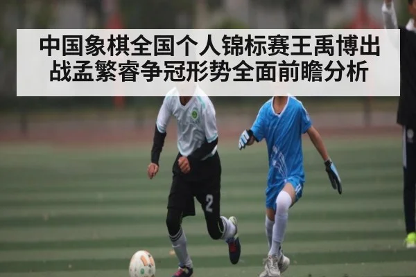 中国象棋全国个人锦标赛王禹博出战孟繁睿争冠形势全面前瞻分析 | kaiyun