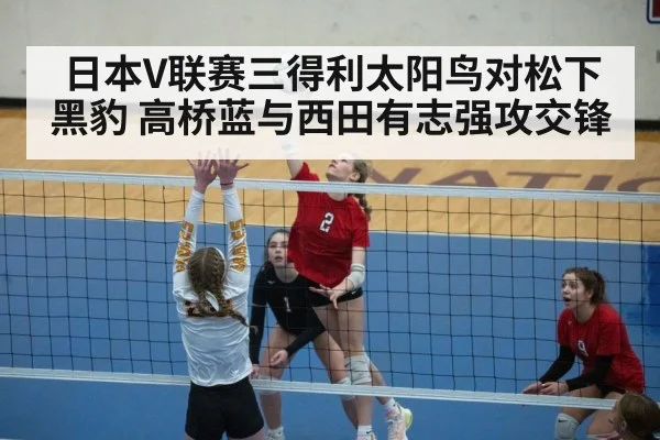 volleyball spike action